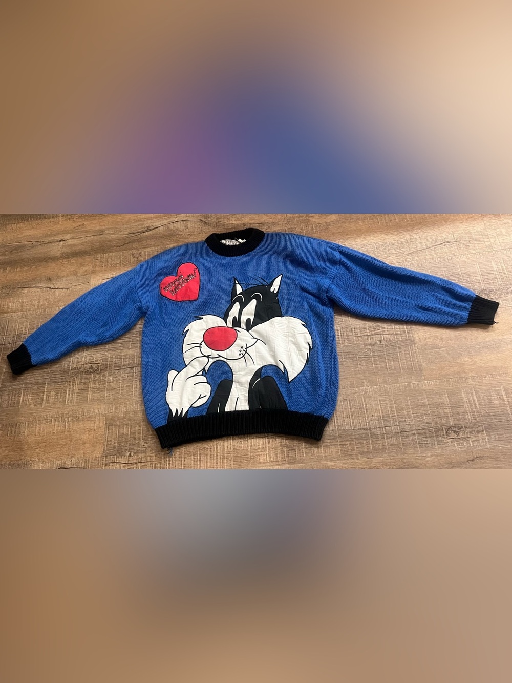 Warner Bros. Le pullover Blue woman’s M Sylvester Crewneck Sweater vintage 1989